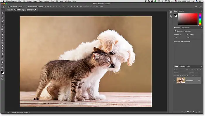 Photoshop view
